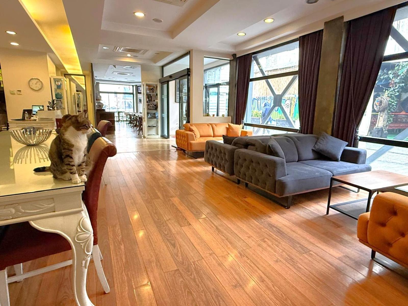 Hotellino Istanbul — Fotoğraflar 1