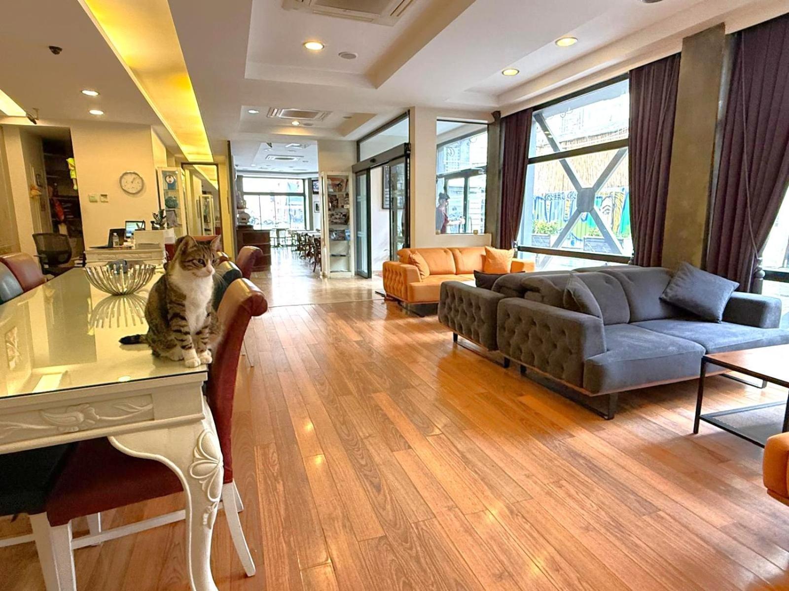 Hotellino Istanbul — Fotoğraflar 2